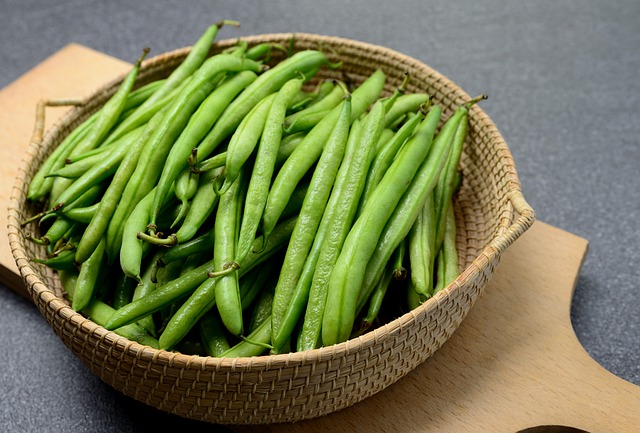 Thanksgiving Beans & Three Sisters Crops